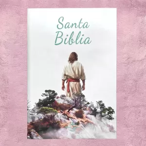 Biblia Jesus en el Monte