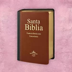 BIBLIA DE PROMESA 1