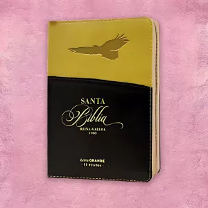 Biblia Amarillo y Negro