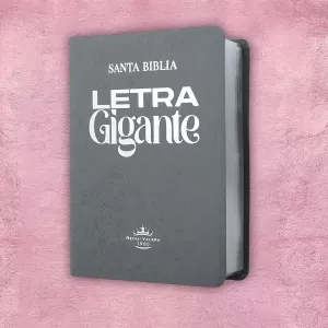 Biblia letra gigante - Gris 