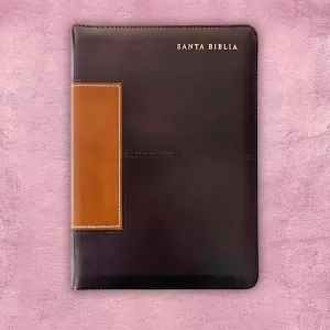 Biblia letra Gigante - Holman Marrón