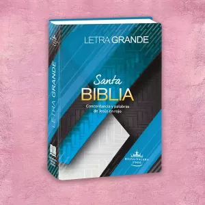 Biblia Economica azul 