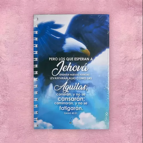 Cuaderno Grande - Águila azul