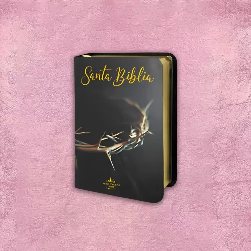 BIBLIA DE BOLSILLO 6