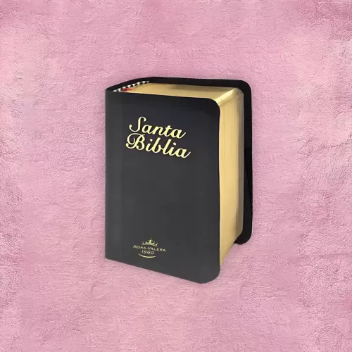 BIBLIA DE BOLSILLO 7