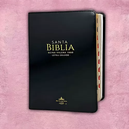 Biblia letra grande - Negra filo dorado